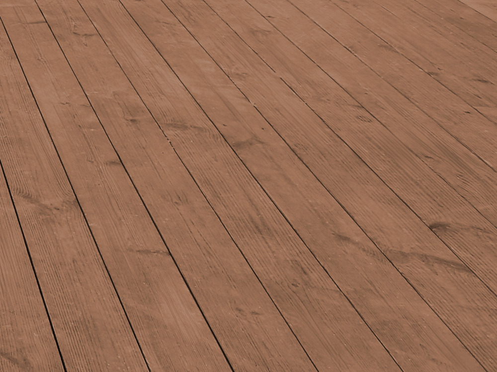 T03.010 gefärbt_kiefer-einzelbild.jpg